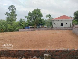 hàng mới f0-lô đất nằm trong khu dân cư tại tòng bạt,ba vì,hà nội-giá hấp dẫn cho các nđt nhanh tay