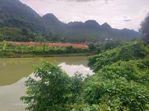 bán đất nghỉ dưỡng trung tâm xã hương cần, thanh sơn, phú thọ