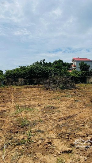 bán đất tại dân sinh, mê linh, hà nội, giá ưu đãi, 2000m2