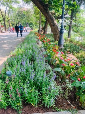 tiện ích phố cổ hồ gươm - bán căn hộ cao cấp kinh đô tower lò đúc- q. hbt- 114m2- 3 pn - 9.4 tỷ tl