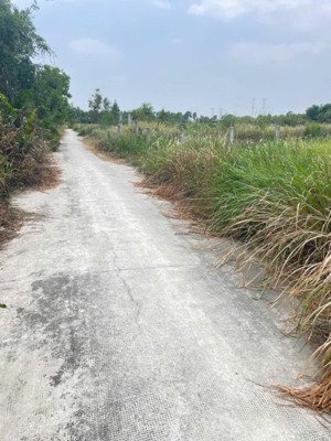 nền đất siêu dài 5x45 ngay sát bên thị trấn ngay chợ hòa khánh, 100% thổ