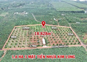 lô góc 3 mặt tiền 357m đất vàng gần kcn cù bị sân bay giá rẻ bất ngờ: 1,2 triệu/m²