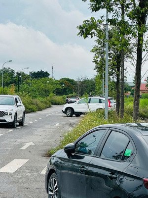 quỹ căn chuyển nhượng 60 & 80m đất dịch vụ tây tựu, vị trí đẹp, giá cực rẻ đường 12-30-46m