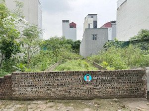 chính chủ bán 60m2 đất tđc trâu quỳ, gia lâm - vị trí trung tâm, gần vin, bv, sđcc, hướng đn