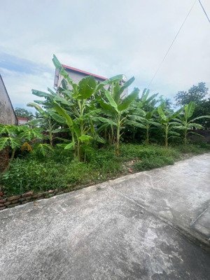 đất nền bán tại tỉnh lộ 282b, 1,85 tỷ, 130m2 giá tốt