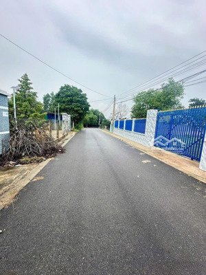 ngộp quá cần bán gấp lô đất 200m2 có sẵn 100 thổ giá 295 triệu, sổ sẵn