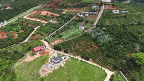 siêu deal đầu tư: 2 lô đất đẹp có thổ cư, giá f0 ở ngoại ô đà lạt 462m2 tạo dòng tiền