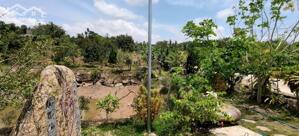 Bán đất tại Quốc Lộ 55, Lộc Nam, Bảo Lâm, Lâm Đồng