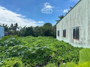 thiếu nợ cần bán đất mtđ rạch cầu suối,vĩnh lộc b,bình chánh,gần chợ,550tr/120m2 shr