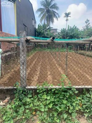 BÁN LÔ ĐẤT GIÁ TỐT - CẤU LÂU ĐÔNG,DUY PHƯỚC -SẴN SỔ