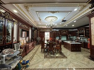 hot ! biệt thự tân sơn nhì - đẳng cấp , sang trọng quý phái , phường tân sơn nhì , quận tân phú