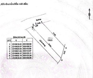 đón sóng tuyến metro số 5 bằng mảnh đất 116,5m2 rất tiềm năng giá 3 tỷ 5 ngay gần đại lộ thăng long