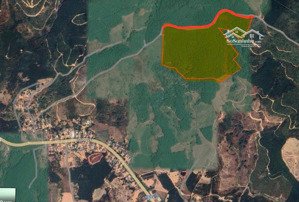 ea trang - huyện m đrăk - 95.243m2 - 600m ngang - rsx - giá chỉ 1 tỷ 600