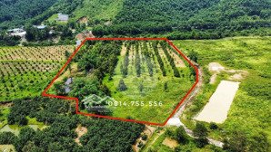 bán nhanh vườn cây ăn trái 17000m có đủ loại cây giáp sông