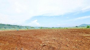 cần bán hơn 1 hecta bám 140m mặt đường, quy hoạch thổ cư