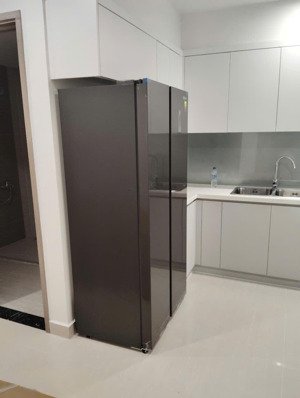 chính chủ cho thuê căn hộ vinhomes 2 ngủ, 2 vệ sinh, 1 khách + bếp, ban công, loza, đầy đủ nội thất