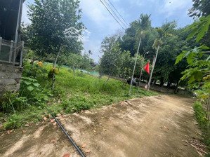 chính chủ cần bán gấp lô đất 909m full đất ở- bám suối -tại thống nhất lạc lương yên thủy