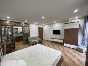 cho thuê căn hộ waterfront city, 1 phòng ngủ tách bếp (40m2) có ban công