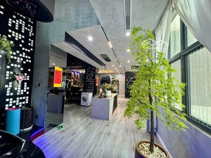 chính chủ cần bán gấp căn hộ - penthouse mulberry lane làng việt kiều châu âu - mỗ lao - hà đông