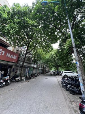 cho thuê liền kề 5pn 4wc 75m2 tại kđt xa la, 16,5 triệu