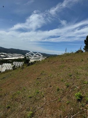 chính chủ cần bán 9500m2 đất view đẹp thuộc thị trấn lạc dương, tỉnh lâm đồng, giá chỉ 6.8 tỷ