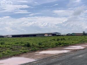 CẦN TIỀN ĐÁO HẠN NH BÁN GẤP 2120M2 NGAY QL13 GẦN KCN, CHỢ DÂN ĐÔNG TIỆN XÂY TRỌ. GÍA 160TR