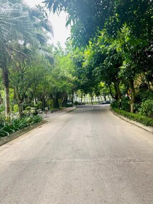  BÁN ĐẤT SÔNG HỒNG THỦ ĐÔ – TÍCH SƠN, VĨNH YÊN . DT 393m2