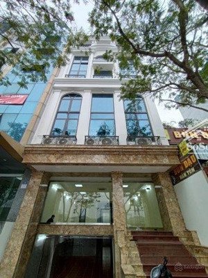tôi cho thuê nhà lê trọng tấn tòa ốp kính full mới hoàn thiện, dt 115m² x 8t, có hầm. giá 100tr/th