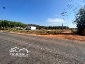 đất thổ cư tp.hcm mặt tiền đường nhựa lớn, sổ sẵn.