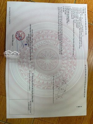 [bán đất] chính chủ bán đất lô góc ngõ 100 phố hạ trại, phường cự khối, long biên