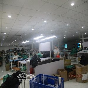 bán nhà xường trên 10 lô đất đấu giá tại xã hồng quang, thanh miện, hải dương, 15 tỷ, 1100m2