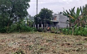 bán gấp đất tại đường an hạ , bình chánh 1000 full thổ giá 24,9 tỷ