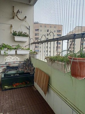 bán căn hộ chung cư ct2b thạch bàn, 75m2, 2pn. gía: 3,1x tỷ. lh: ms thùy: 