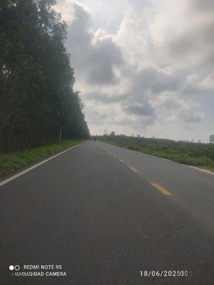 lô đất đẹp gần hồ tràm, sẵn thổ cư, gần cao tốc long thành - hồ tràm, giá tốt nhất khu vực