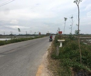 bán đất tại xã quảng lưu, quảng xương, thanh hóa giá tốt