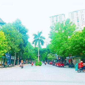 bán biệt thự xa la 120m2x4t, mặt phố hạnh hoa, siêu kinh doanh, dòng tiền 600tr/năm