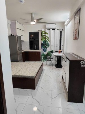 chính chủ cho thuê ch 403 và 404 tòa ct5 tràng duệ 26,5m2, giá 4tr
