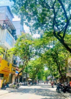 GIẢM SỐC NHÀ MẶT PHỐ NGỌC HÀ TT BA ĐÌNH KD VỈA HÈ Ô TÔ TRÁNH 55M X 4 TẦNG MT 4M 16 TỶ 9