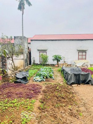 bán đất chính chủ gần trung tâm thị trấn phúc thọ, hà nội đầy đủ tiện ích. giá đầu tư nhỉnh 1 tỷ