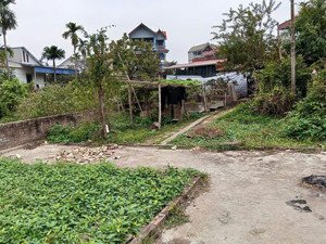 bán đất sát đường ql32 huyện phúc thọ, hà nội. diện tích vừa xinh, giá đầu tư nhỉnh 1 tỷ