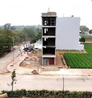 lk12 khu a, sổ đỏ kđt ceinco 5 dt: 100m - giá chỉ 60.5tr/1m2