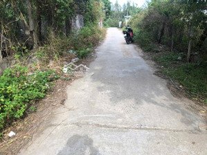 cơ hội sở hữu lô đất đẹp tại bắc lũng lục nam diện tích: 910m² mặt tiền rộng 18m giá chỉ 5,2 tỷ