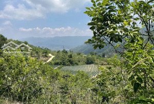 ngộp bank chủ cần bán đất đẹp tại trạm hành 2 view thung lũng đơn dương