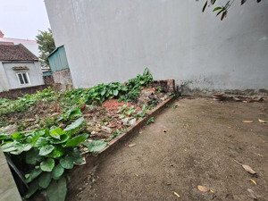 tài chính 3 tỷ 46m nam hồng đông anh khổ đất đẹp nở hậu hút tài lộc ngõ ô tô 50m ra trục chính