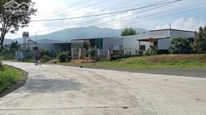 4 sào Đinh Công Tráng Lộc Châu Bảo Lộc.