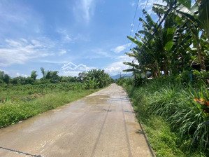 bán lô đất view sông, đường xóm sông, diên lâm, diên khánh (cạnh diên phước)