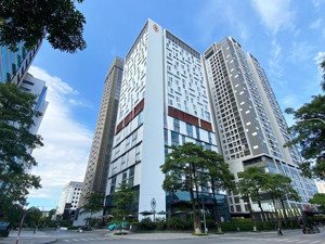 building mt vip sang trọng nguyễn đình chiểu, q3 chỉ 110tr/490m2 nhiều ưu đãi, vị trí đắc địa dễ kd