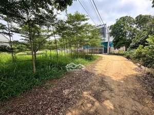 bán 400m2 đất giá rẻ tản lĩnh ba vì giá chỉ 2,x tỷ, giáp cổng vườn quốc gia, gần hồ tiên xa