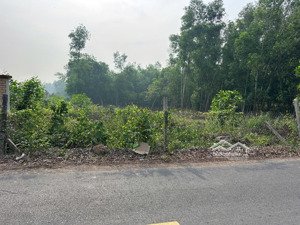 bán lô đất mặt tiền đường nhựa long nguyên bầu bàng, bình dương