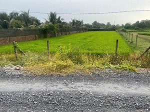 bán đất mặt tiền đường rạch cây xanh xác bình mỹ nằm gần vành đai 3 sổ hồng riêng qh khu dân